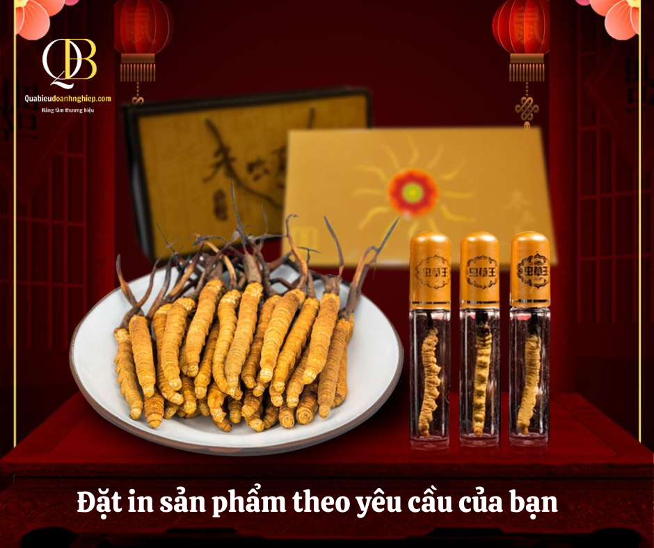 Set Quà Tặng Đông Trùng Hạ Thảo - Hình ảnh 2